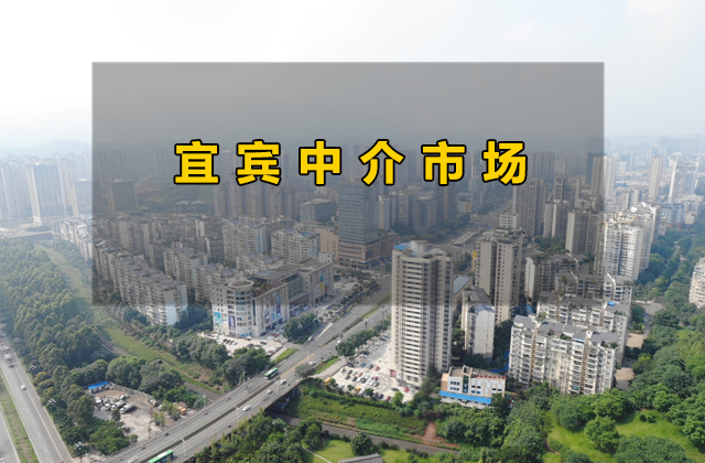 中介封面.jpg
