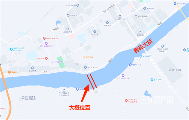 鸡翅膀.png