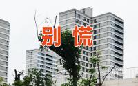 不动产统一登记，房产税快了？宜宾人，不要慌！