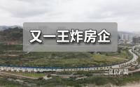 又一王炸房企，有意加入宜宾！开发商、买房人都要注意了！