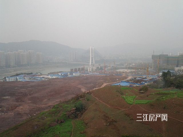 20131109_160917.jpg