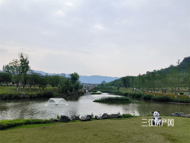 竹文化.jpg