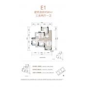 E1