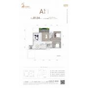 A5