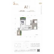 A5