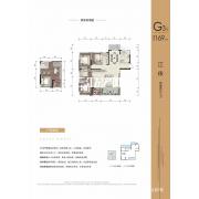 G3