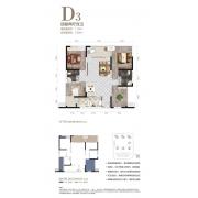 D3