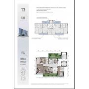 T2