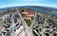 明天拍地？注意，宜宾主城又有新地挂网，就在丽雅隔壁！