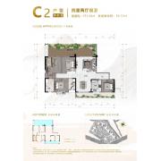 C2偶数层
