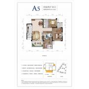 A5