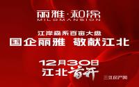 丽雅·和锦12月30日开盘，最高补贴16万/套！