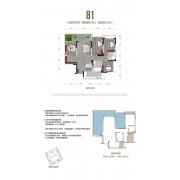 B1