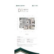 D1