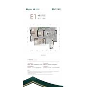 E1