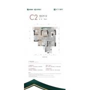 C2