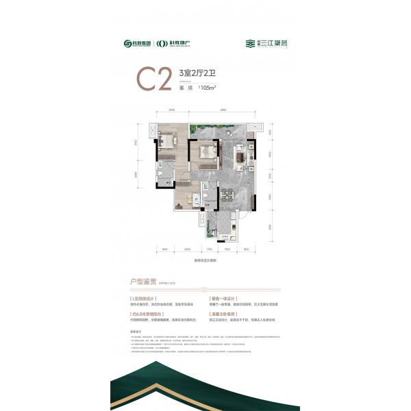 C2