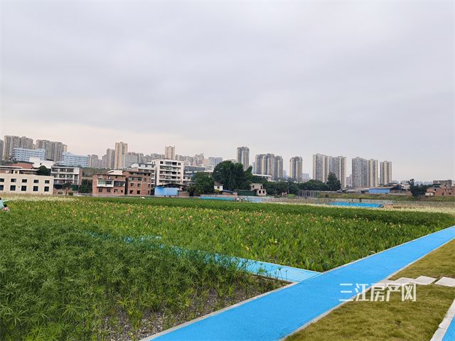 柏溪湿地公园_副本.jpg