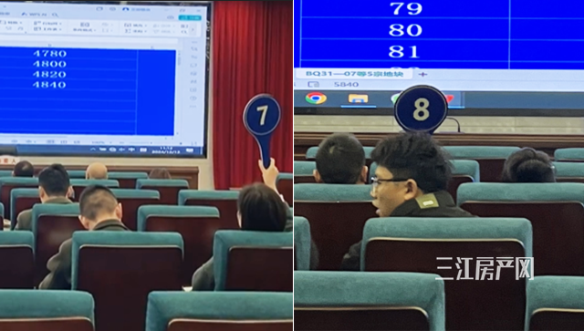举牌.png