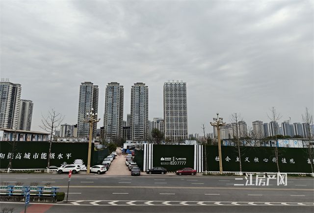 地块现场.jpg