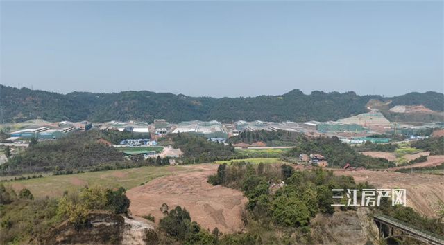 五粮液倍增工程.jpg