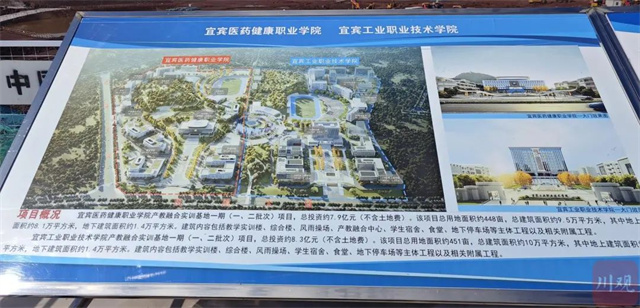 川观新闻.jpg