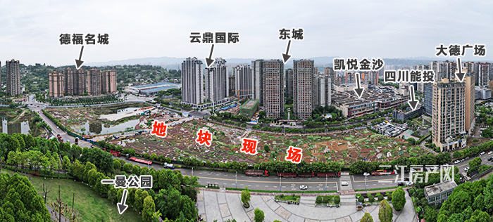 DJI_0595.png