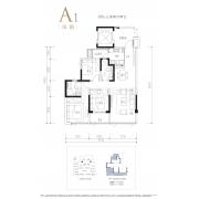 A1
