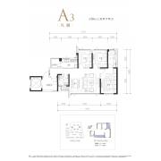 A3