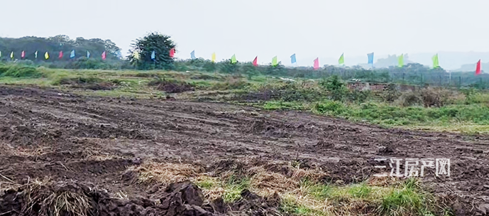 301419578130ffec4b3101.png 未标题-4.png