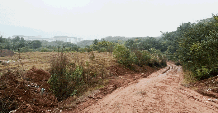 09151834a54a971fec5181.gif 未标题-1.gif