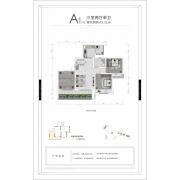 A1