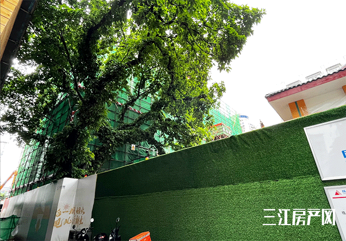 18103228f1daed383c3675.png 未标题-3.png