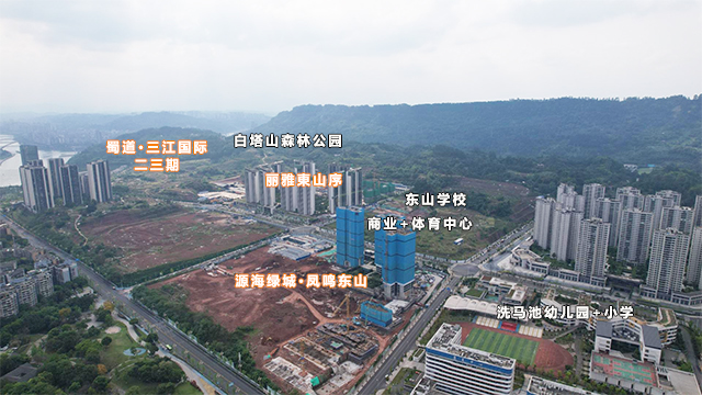 东山片区航拍640.jpg
