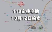 828新政后，宜宾住宅新地挂网！119亩，容积率2.2！